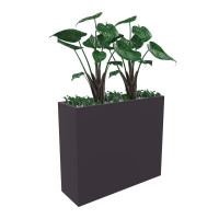 BAC DE SÉPARATION AVEC ALOCASIAS ET FOUGÈRES H135 L90XP40XH135 CM OK OK