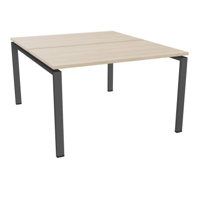 CONECT BUR BENCH L120XP142CM-2 PL25MM RZ-PIET ARCHE RECT FX SC