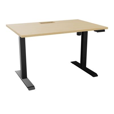 LUTZ 2 BUREAU L120 P80CM EP25 DECOUP.1TRAPPE 24X12 MOTORISE+GOULOTTE EUR  R1 SG