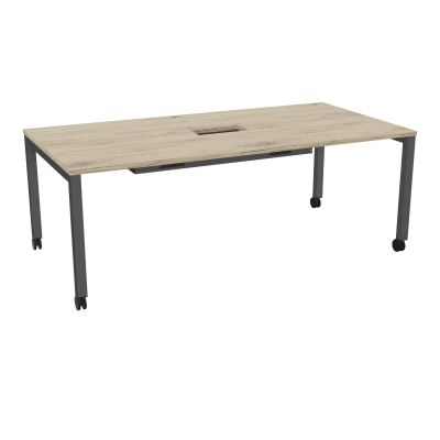 ARIAL T L200XP100XH73,5 PERCE TRAPPE DOUBLE ACCES+ GOUL PIED ARCHE CARREE MOBILER3 SC