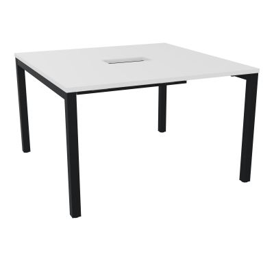 ARIAL T L120XP120XH73,5 PERCE TRAPPE DOUBLE ACCES+ GOULOTTE PIED ARCHE CARREE FX 4P