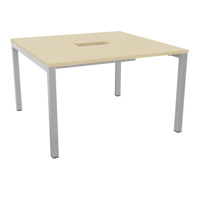 ARIAL T L120XP120XH73,5 PERCE TRAPPE DOUBLE ACCES+ GOULOTTE PIED ARCHE CARREE FX 4P