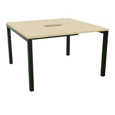 ARIAL T L120XP120XH73,5 PERCE TRAPPE DOUBLE ACCES+ GOULOTTE PIED ARCHE CARREE FX 4P
