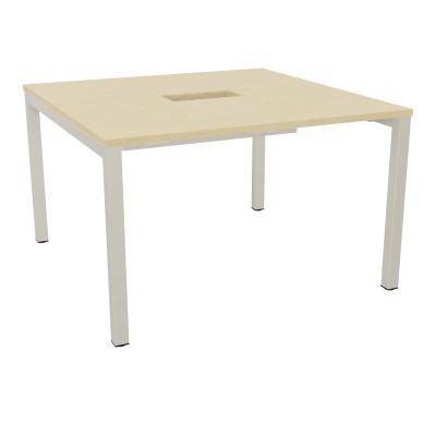 ARIAL T L120XP120XH73,5 PERCE TRAPPE DOUBLE ACCES+ GOULOTTE PIED ARCHE CARREE FX 4P