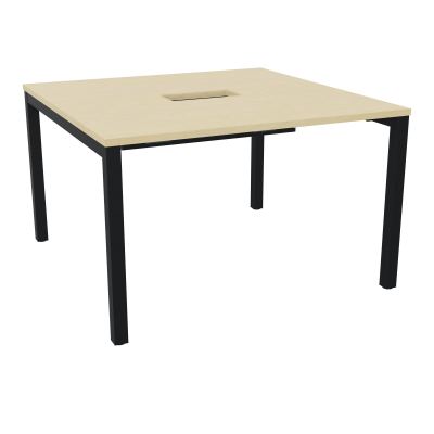 ARIAL T L120XP120XH73,5 PERCE TRAPPE DOUBLE ACCES+ GOULOTTE PIED ARCHE CARREE FX 4P