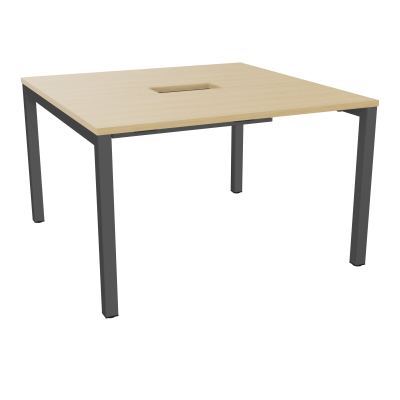 ARIAL T L120XP120XH73,5 PERCE TRAPPE DOUBLE ACCES+ GOULOTTE PIED ARCHE CARREE FX 4P R1 SC