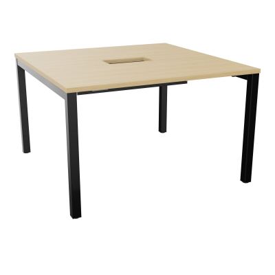 ARIAL T L120XP120XH73,5 PERCE TRAPPE DOUBLE ACCES+ GOULOTTE PIED ARCHE CARREE FX 4P R1 SG