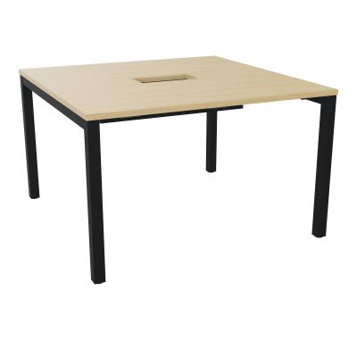 ARIAL T L120XP120XH73,5 PERCE TRAPPE DOUBLE ACCES+ GOULOTTE PIED ARCHE CARREE FX 4P R1 ZP