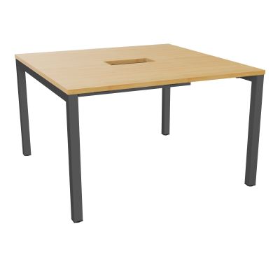 ARIAL T L120XP120XH73,5 PERCE TRAPPE DOUBLE ACCES+ GOULOTTE PIED ARCHE CARREE FX 4P R5 SC