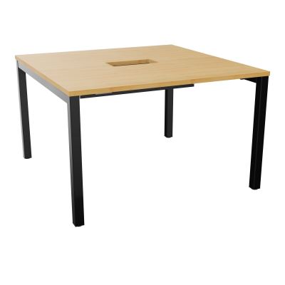 ARIAL T L120XP120XH73,5 PERCE TRAPPE DOUBLE ACCES+ GOULOTTE PIED ARCHE CARREE FX 4P R5 SG