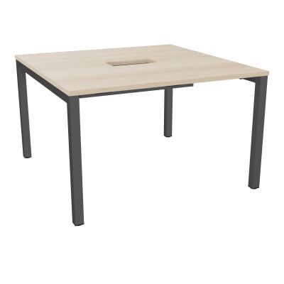 ARIAL T L120XP120XH73,5 PERCE TRAPPE DOUBLE ACCES+ GOULOTTE PIED ARCHE CARREE FX 4P