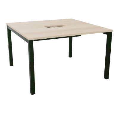 ARIAL T L120XP120XH73,5 PERCE TRAPPE DOUBLE ACCES+ GOULOTTE PIED ARCHE CARREE FX 4P