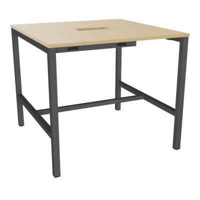 ARIAL T L120XP120XH104,5 PERCE TRAPPE DOUBLE ACCES + GOULOTTE PIED ARCHE CARREE FX 4P R1