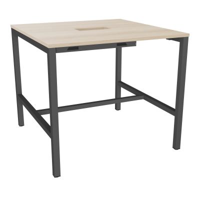 ARIAL T L120XP120XH104,5 PERCE TRAPPE DOUBLE ACCES + GOULOTTE PIED ARCHE CARREE FX 4P