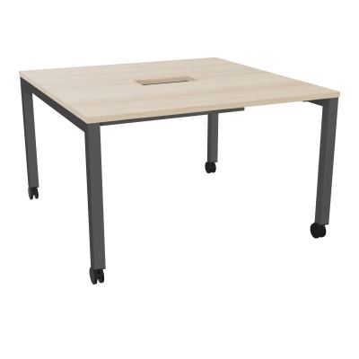 ARIAL T L120XP120XH73,5 PERCE TRAPPE DOUBLE ACCES + GOULOTTE PIED ARCHE CARREE MOBILE