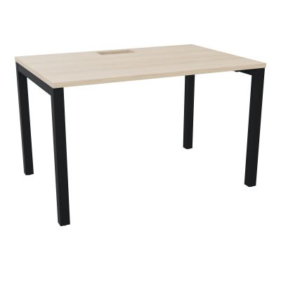 ARIAL T RECT L120 P80 H73,5 EP 25 mm découpé trappe SC PIED ARCHE CARRE FIXE