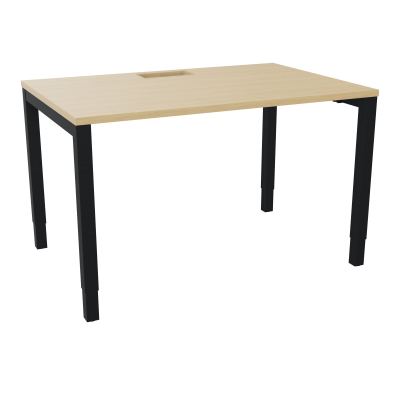 ARIAL T RECT L120 P80 H73,5 EP 25 mm découpé trappe SC PIED ARCHE CARRE RH R1 ZP
