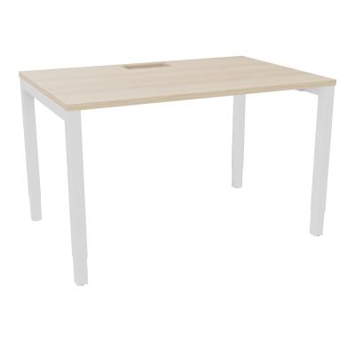 ARIAL T RECT L120 P80 H73,5 EP 25 mm découpé trappe SC PIED ARCHE CARRE RH