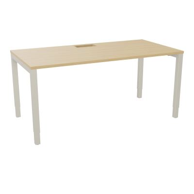 ARIAL T RECT L160 P80 H73,5 EP 25 mm découpé trappe SC PIED ARCHE CARRE RH R1 ZC