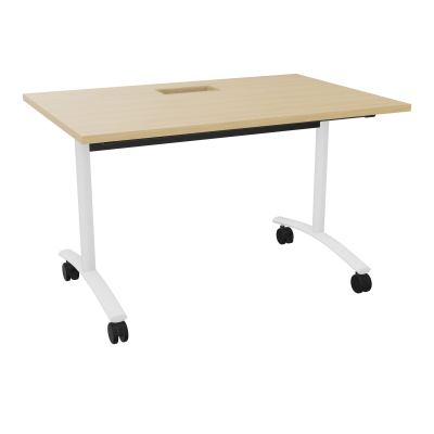 TABLE ABATTANTE L120XP80XH73,5CM DECOUPE POUR TRAPPE + GOULOTTE L300 MM