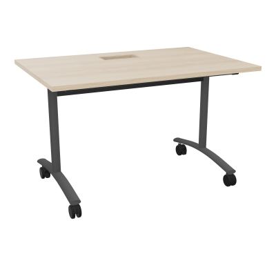 TABLE ABATTANTE L120XP80XH73,5CM DECOUPE POUR TRAPPE + GOULOTTE L300 MM
