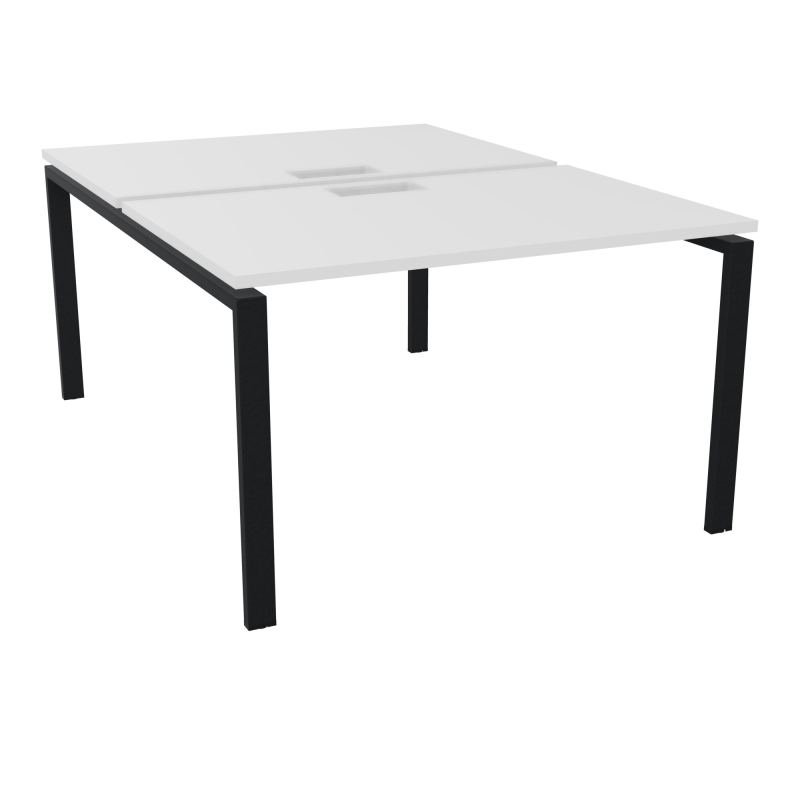 CONECT BENCH L120XP165CM-2 PLAT SANS TRAPPES MG-PIET ARCHE RECT FX ZP
