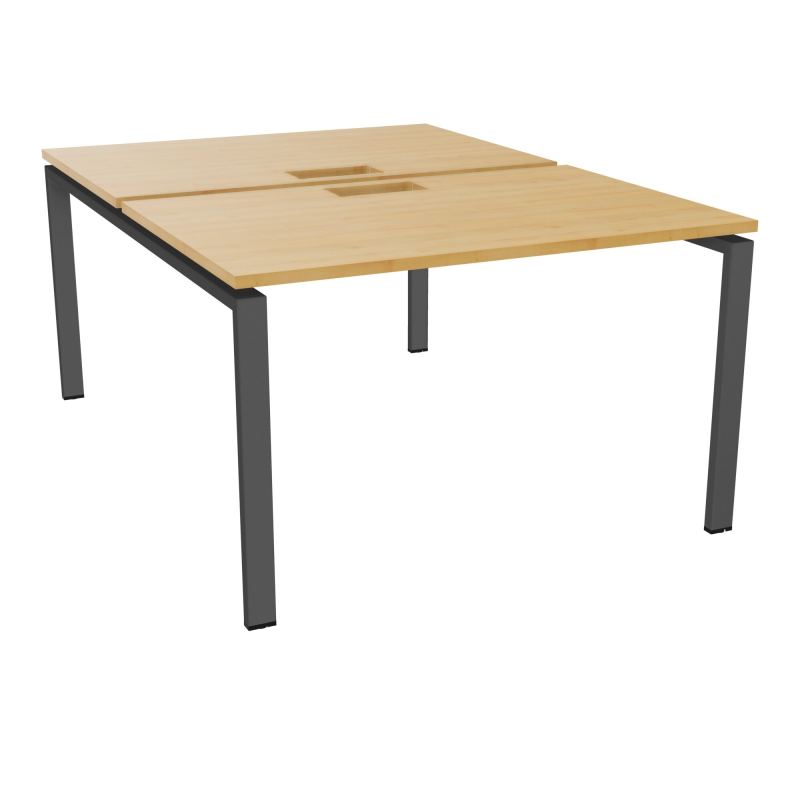 BENCH CONECT L120XP165CM-2 PLAT NS TRAPPES -PIET ARCHE RECT FX   R5 SC