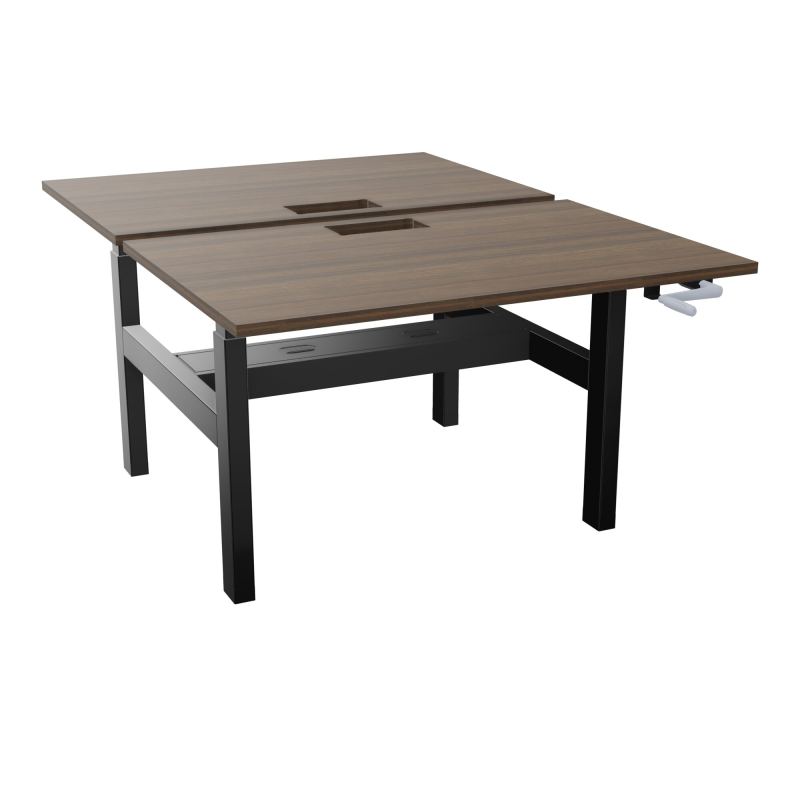 AXEL 2 BENCH 2 x RECT. L120XP80 DECOUPE TRAPPE + GOUL - SYST. MANIVELLE N6 SG