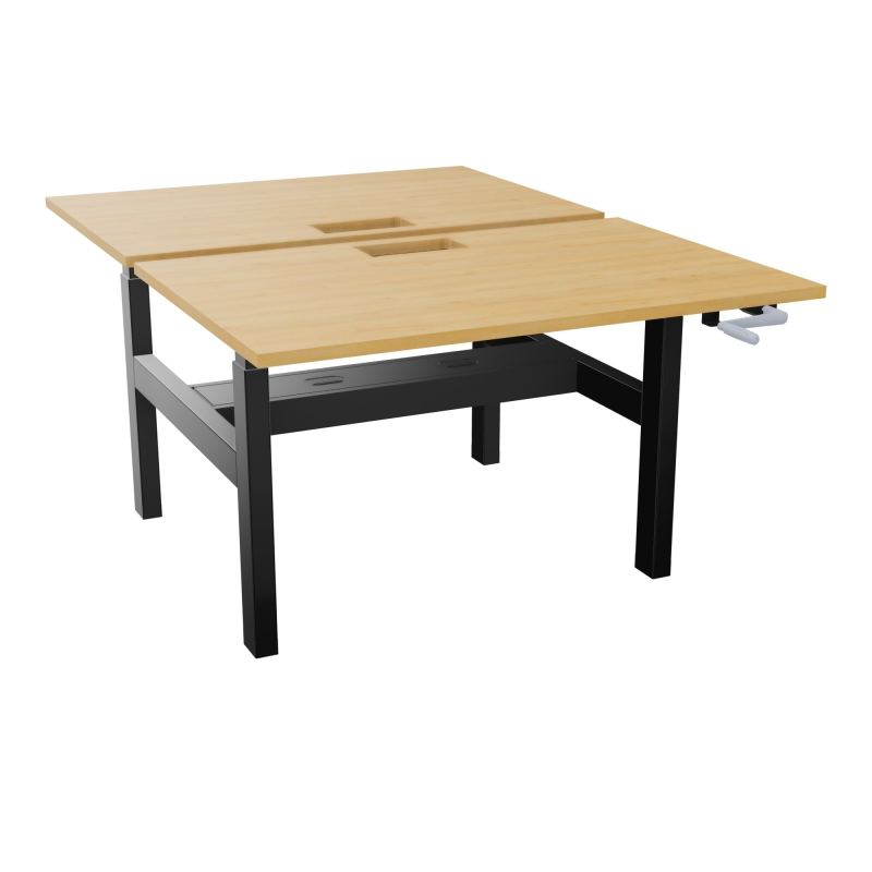 AXEL 2 BENCH 2 x RECT. L120XP80 DECOUPE TRAPPE + GOUL - SYST. MANIVELLE R5 SG