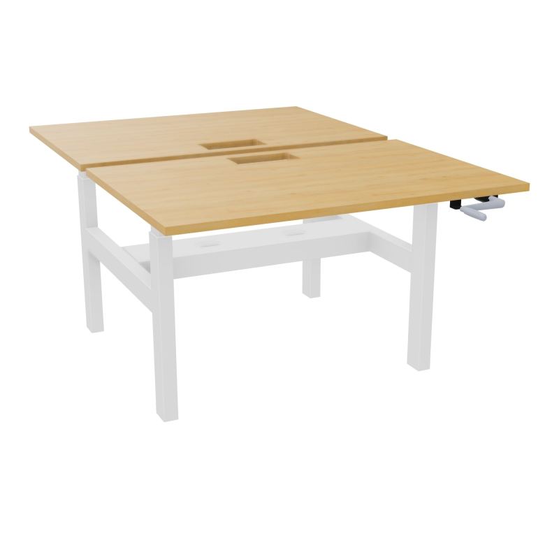 AXEL 2 BENCH 2 x RECT. L120XP80 DECOUPE TRAPPE + GOUL - SYST. MANIVELLE R5 SO