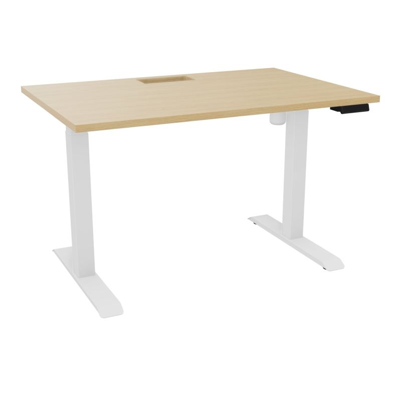 LUTZ 2 BUREAU L120 P80CM EP25 DECOUP.1TRAPPE 24X12 MOTORISE+GOULOTTE EUR  R1 SO
