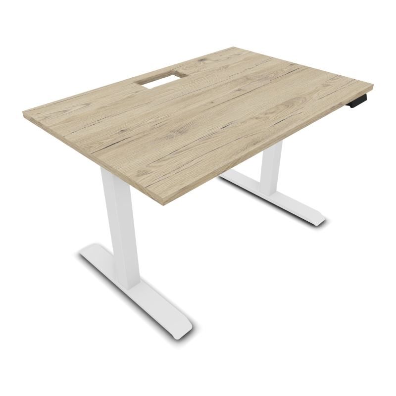 LUTZ 2 BUREAU L120 P80CM EP25 DECOUP.1TRAPPE 24X12 MOTORISE+GOULOTTE EUR R3 SO
