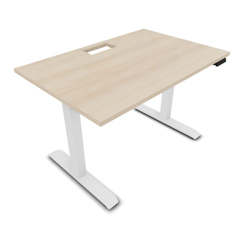 LUTZ 2 BUREAU L120 P80CM EP25 DECOUP.1TRAPPE 24X12 MOTORISE+GOULOTTE EUR RZ SO