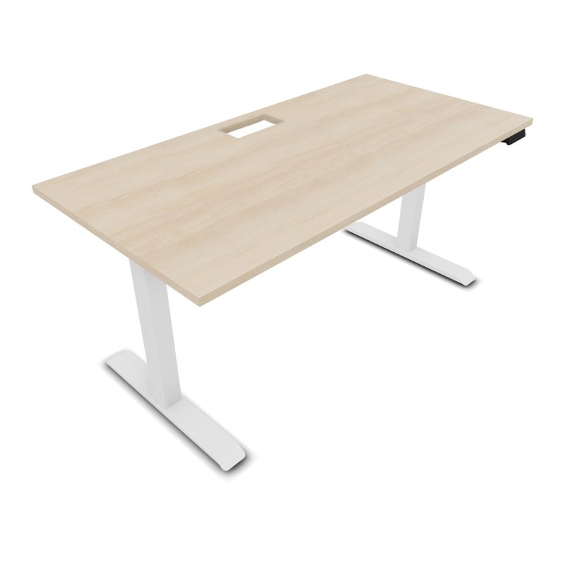 LUTZ 2 BUREAU L160 P80CM EP25 DECOUP.1TRAPPE 24X12 MOTORISE+GOULOTTE EUR RZ SO