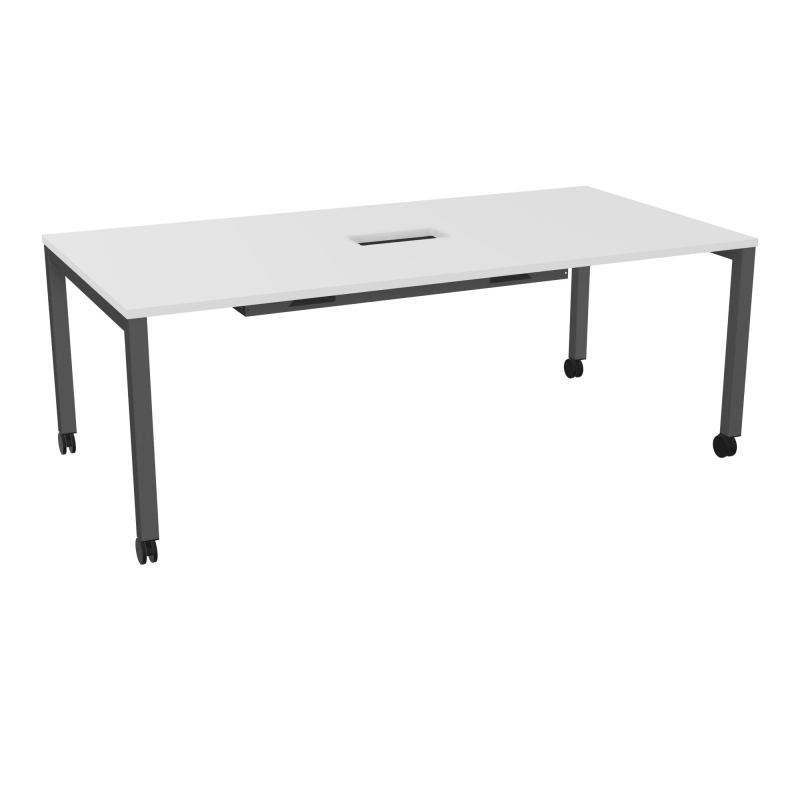 ARIAL T L200XP100XH73,5 PERCE TRAPPE DOUBLE ACCES+ GOUL PIED ARCHE CARREE MOBILEMG SC