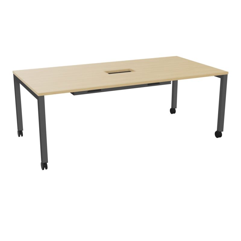 ARIAL T L200XP100XH73,5 PERCE TRAPPE DOUBLE ACCES+ GOUL PIED ARCHE CARREE MOBILE R1 SC