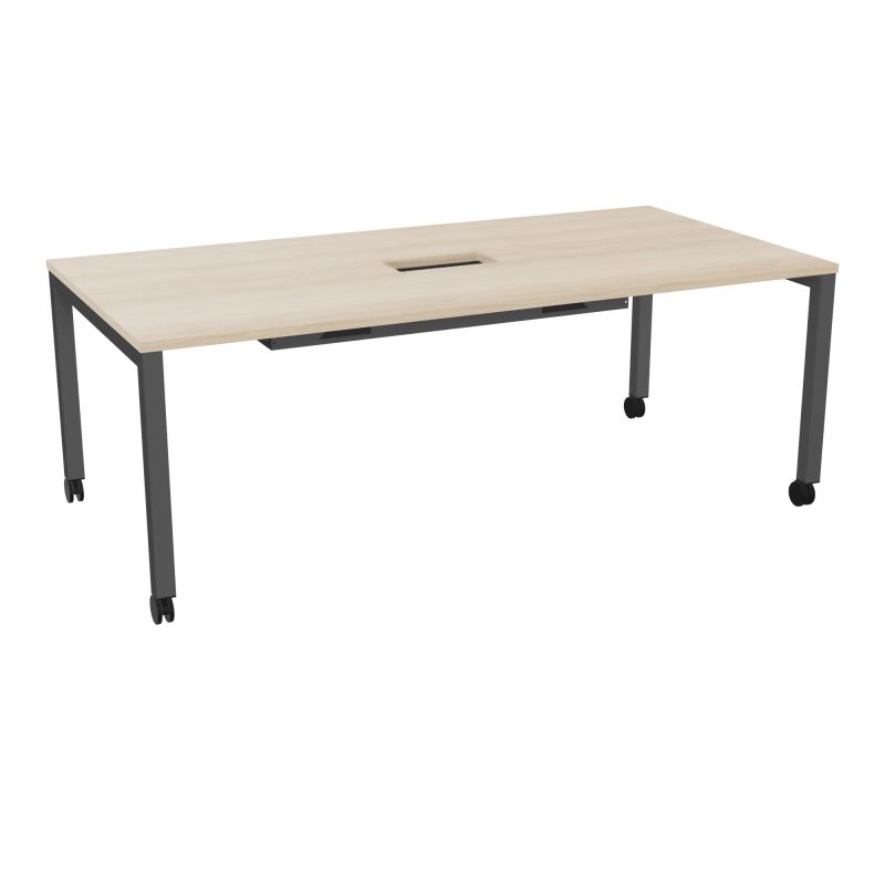 ARIAL T L200XP100XH73,5 PERCE TRAPPE DOUBLE ACCES+ GOUL PIED ARCHE CARREE MOBILERZ SC
