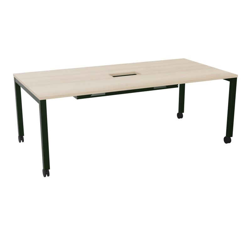 ARIAL T L200XP100XH73,5 PERCE TRAPPE DOUBLE ACCES+ GOUL PIED ARCHE CARREE MOBILERZ ST