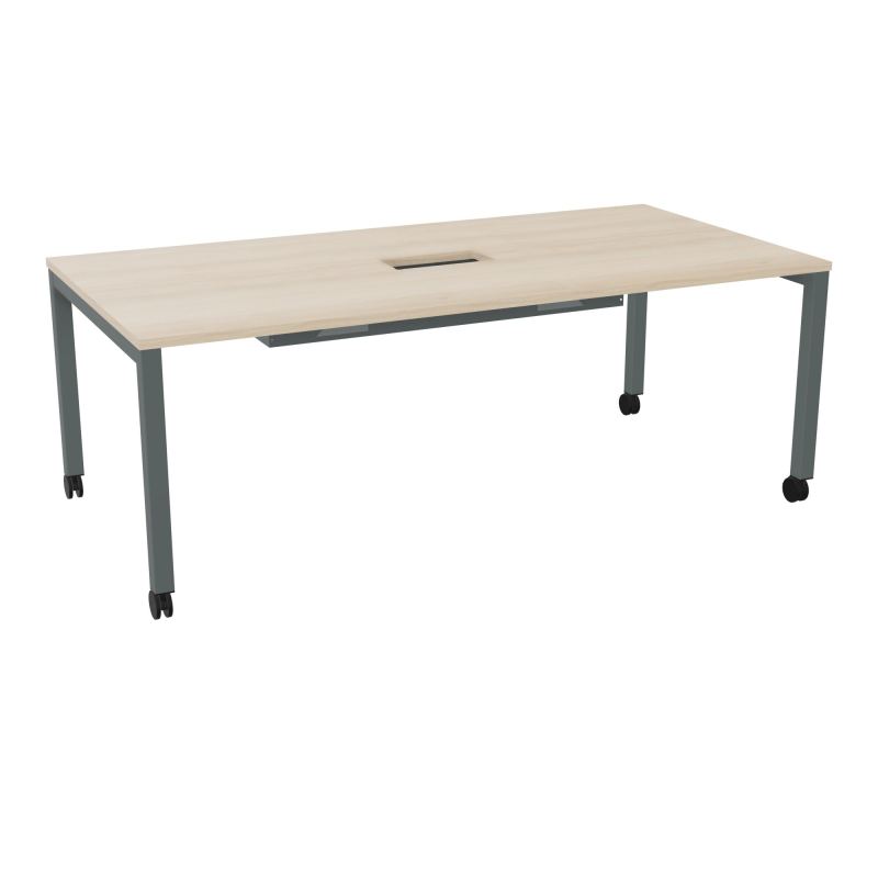 ARIAL T L200XP100XH73,5 PERCE TRAPPE DOUBLE ACCES+ GOUL PIED ARCHE CARREE MOBILERZ SU