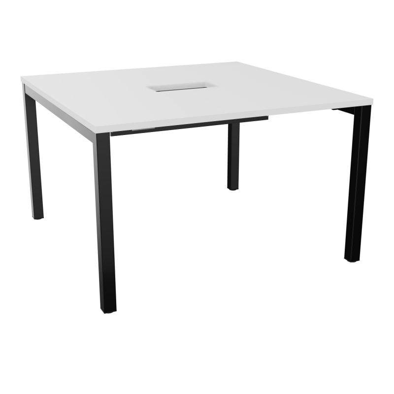 ARIAL T L120XP120XH73,5 PERCE TRAPPE DOUBLE ACCES+ GOULOTTE PIED ARCHE CARREE FX 4P