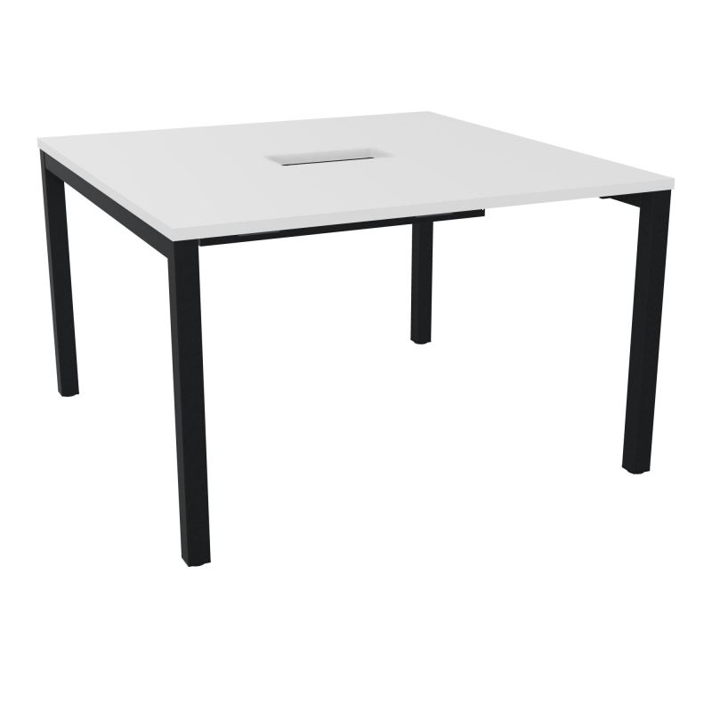 ARIAL T L120XP120XH73,5 PERCE TRAPPE DOUBLE ACCES+ GOULOTTE PIED ARCHE CARREE FX 4P