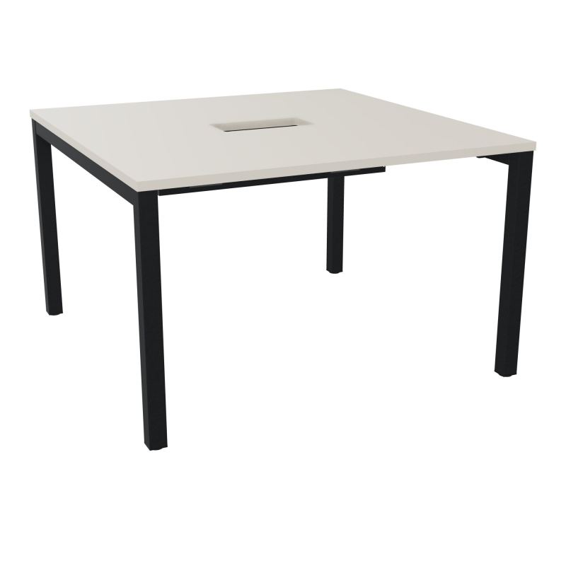 ARIAL T L120XP120XH73,5 PERCE TRAPPE DOUBLE ACCES+ GOULOTTE PIED ARCHE CARREE FX 4P