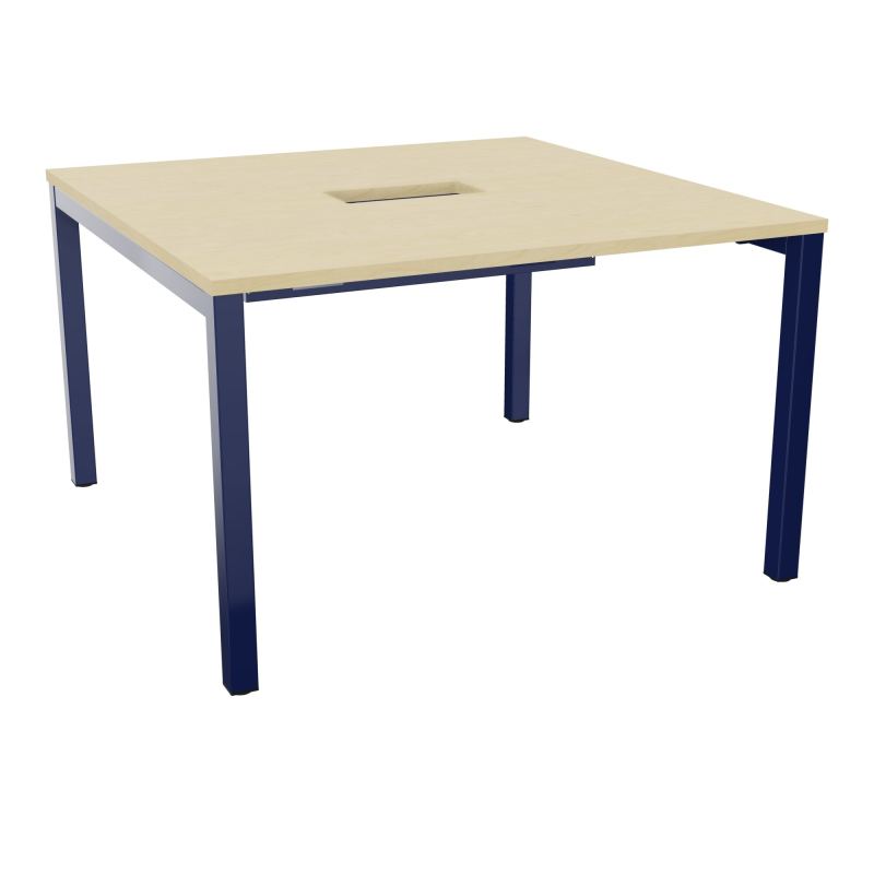 ARIAL T L120XP120XH73,5 PERCE TRAPPE DOUBLE ACCES+ GOULOTTE PIED ARCHE CARREE FX 4P