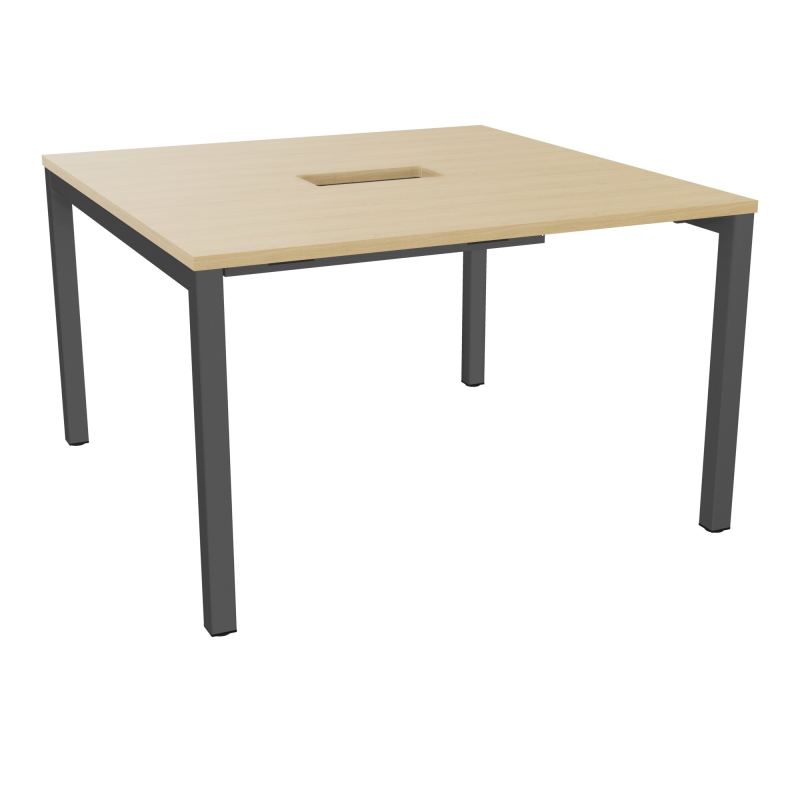 ARIAL T L120XP120XH73,5 PERCE TRAPPE DOUBLE ACCES+ GOULOTTE PIED ARCHE CARREE FX 4P R1 SC