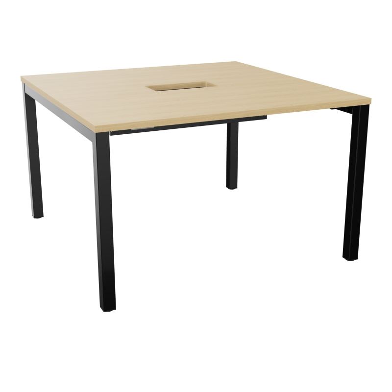 ARIAL T L120XP120XH73,5 PERCE TRAPPE DOUBLE ACCES+ GOULOTTE PIED ARCHE CARREE FX 4P R1 SG