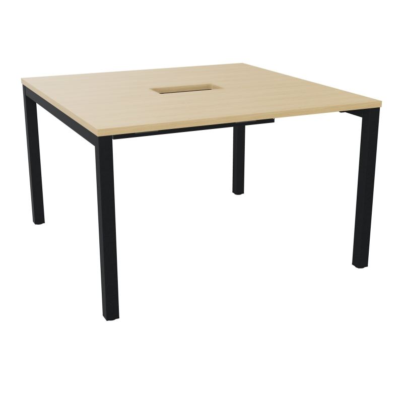ARIAL T L120XP120XH73,5 PERCE TRAPPE DOUBLE ACCES+ GOULOTTE PIED ARCHE CARREE FX 4P R1 ZP