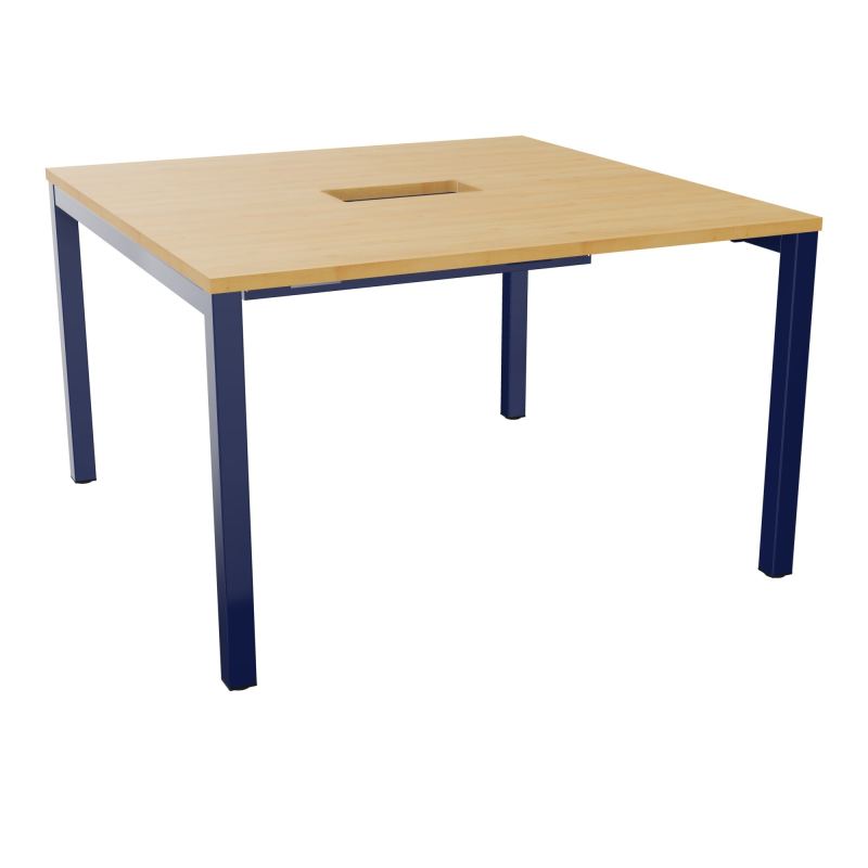 ARIAL T L120XP120XH73,5 PERCE TRAPPE DOUBLE ACCES+ GOULOTTE PIED ARCHE CARREE FX 4P R5 X4