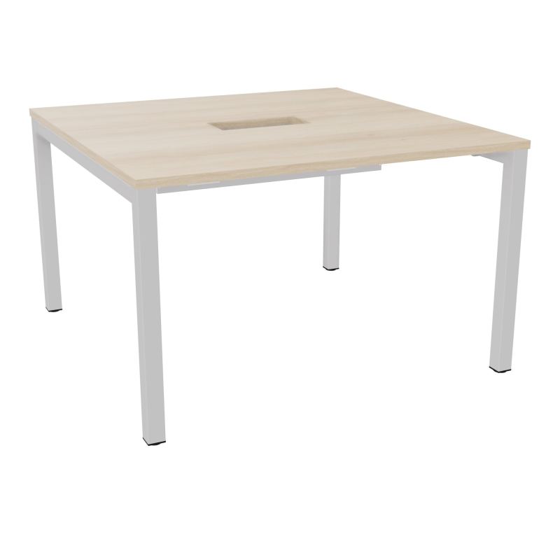 ARIAL T L120XP120XH73,5 PERCE TRAPPE DOUBLE ACCES+ GOULOTTE PIED ARCHE CARREE FX 4P