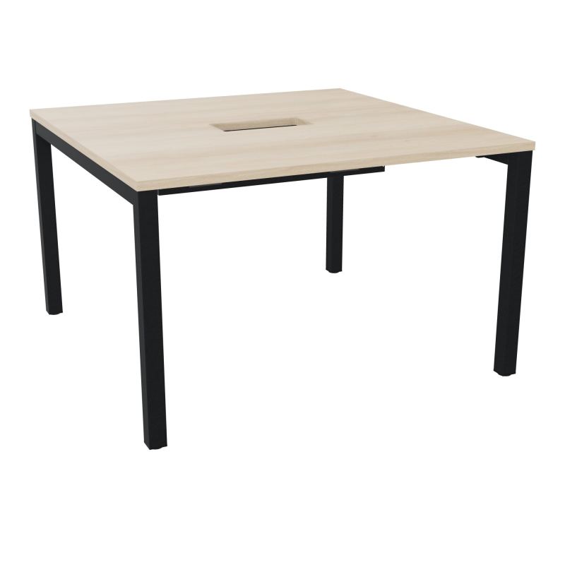 ARIAL T L120XP120XH73,5 PERCE TRAPPE DOUBLE ACCES+ GOULOTTE PIED ARCHE CARREE FX 4P