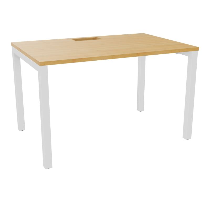 ARIAL T RECT L120 P80 H73,5 EP 25 mm découpé trappe SC PIED ARCHE CARRE FIXE R5 ZO
